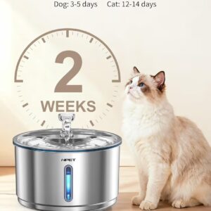 Cat Water Fountain