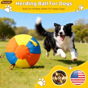 Herbing Ball For Dog