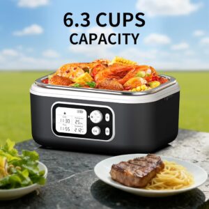 Heated Lunch Box