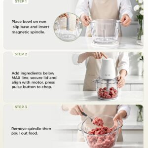 Electric Food Processor