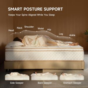 Hybrid Queen Mattress
