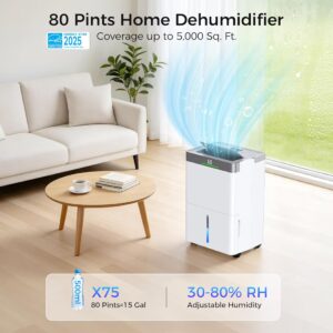 Dehumidifier For Basement