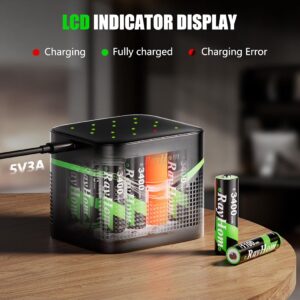 Rechargeable Lithium Batteries