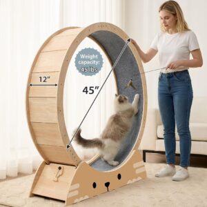 Cat Wheel