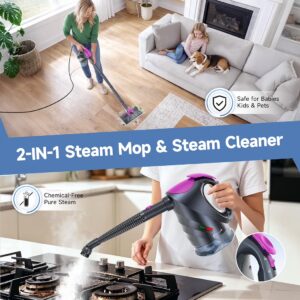 Handheld Steamer