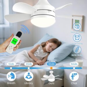 Ceiling Fans