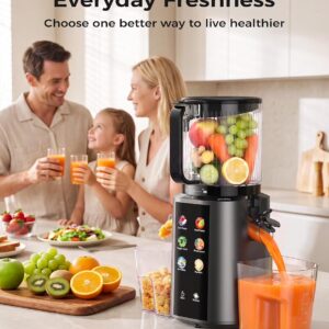 Cold Press Juicer