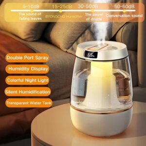Humidifier for Home