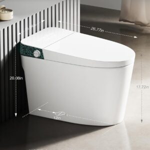 Electric Toilet