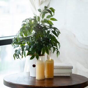 Artificial Stems