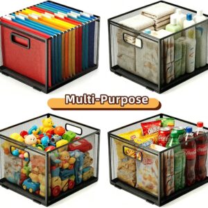 File Organizer