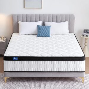 12 Inch Mattress
