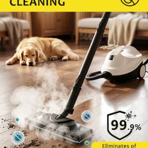 Steam Cleaner for Home