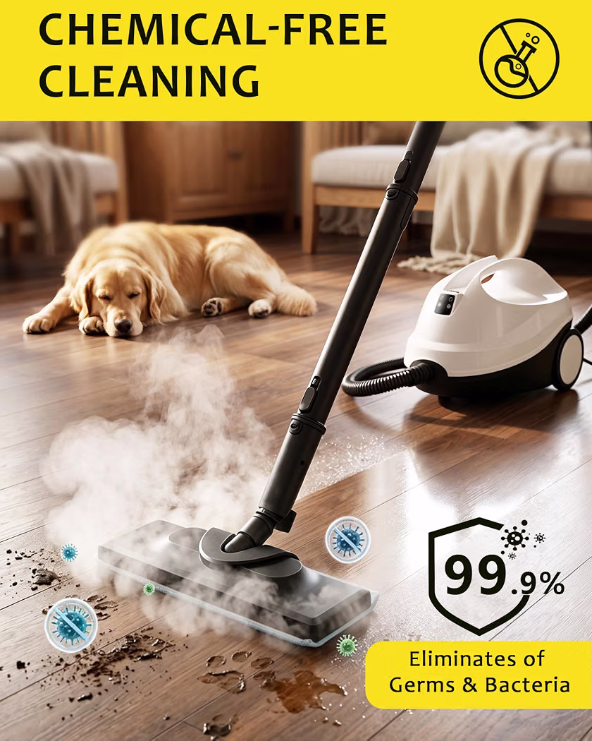 Steam Cleaner for Home