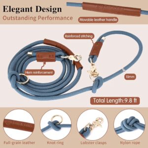 Dog Leash