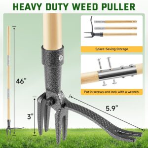 Weed Puller Tool