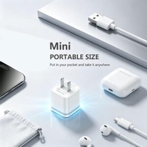 Dual Port USB Wall Charger Block