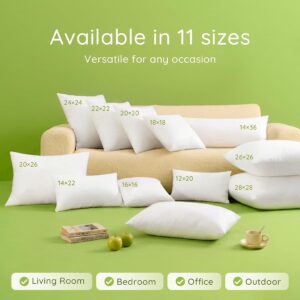 Pillow Inserts Set of 2
