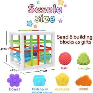 Baby Montessori Toys