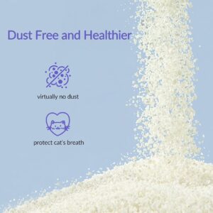 Non Stick Extra Clumping Cat Litter