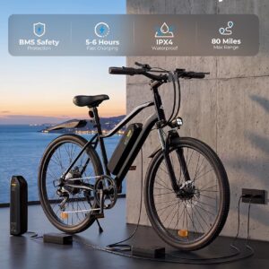 Electric Bike For Adults