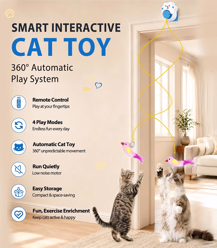 Interactive Cat Toys