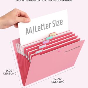 Accordion File Organizer