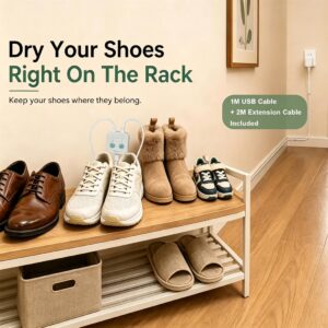 Electric Shoe Dryer
