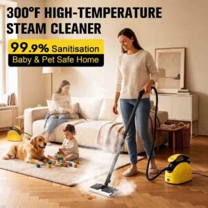 Steam Cleaner