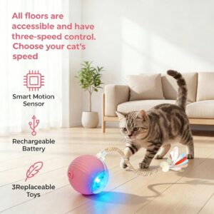 Interactive Cat Toy Ball