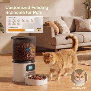 Automatic Cat Feeder