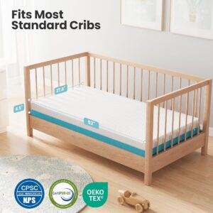 Crib Mattress