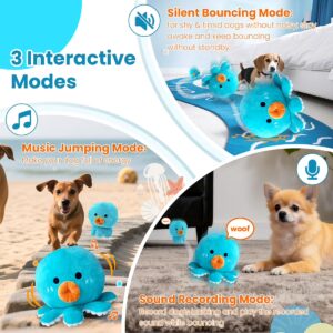 Pet Toys