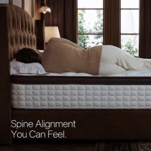 14 Inch Queen Mattress