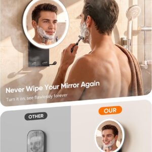 Heated Shower Mirror