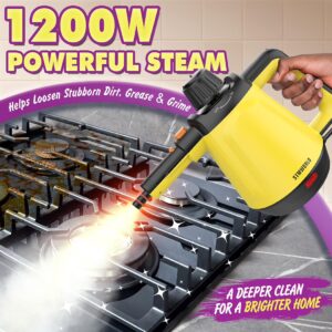 Handheld Steam Cleaner