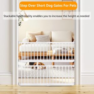 Dog Gate