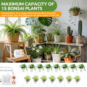 Plants Watering System