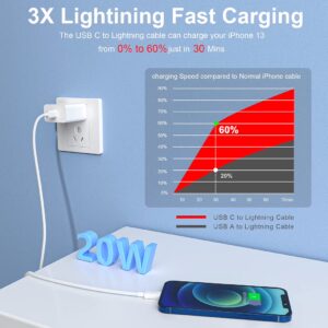 USB C lightning Cable