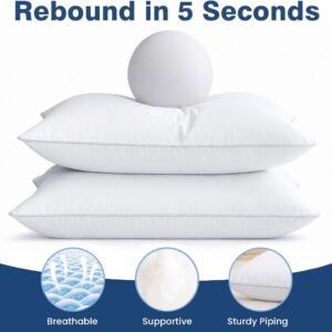 Sleeping Pillows