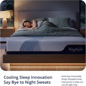 Queen Mattress