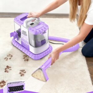 Portable Carpet Cleaner