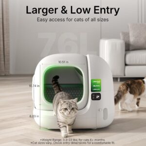 Automatic Litter Box