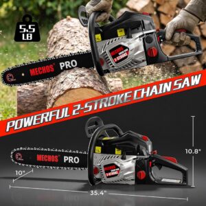Gas Chainsaw
