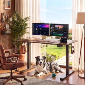 Gaming Office Desk